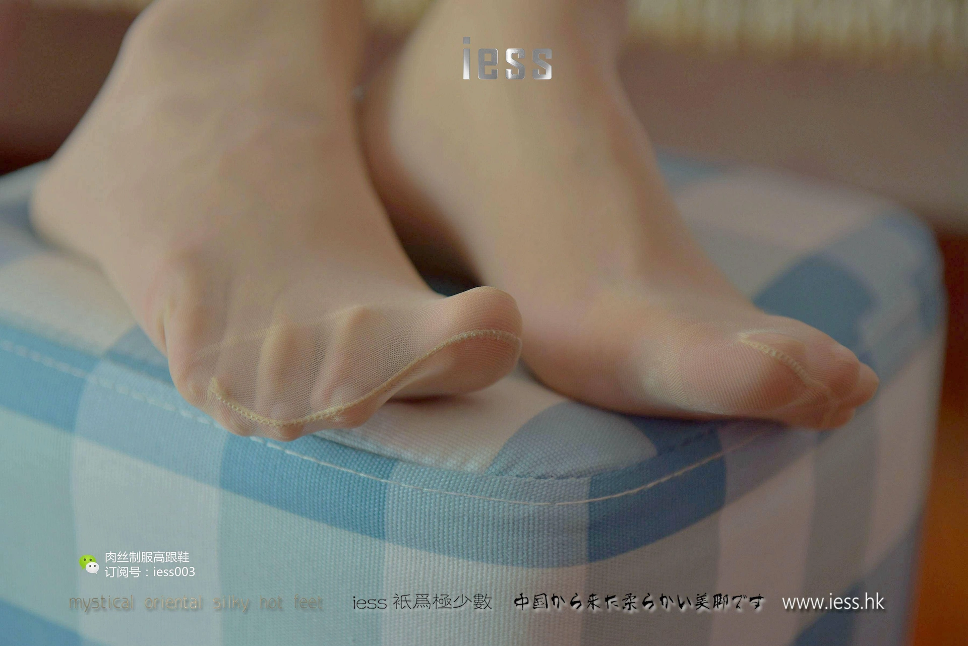 [IESS异思趣向] 2017.05.14 丝享家005:婉萍 《肉色长（蚕）丝》 2